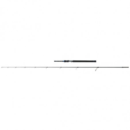Meškerė DAM Salt-X SW Spin 2.40m, 20-60g
