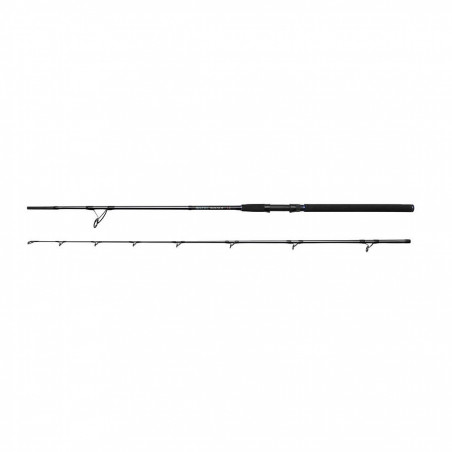 Meškerė DAM Salt-X Shad & Pilk 2.40m, 50-150g