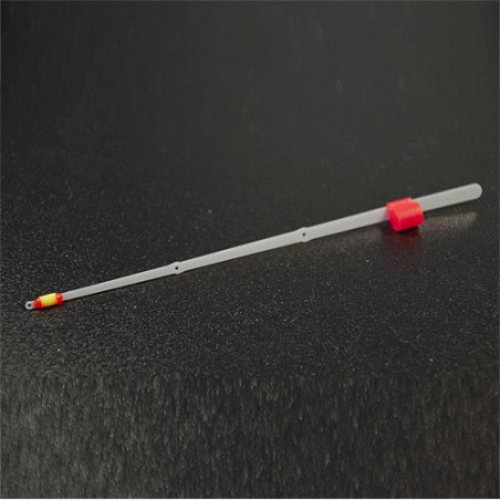 Sargelis lavsaninis Salmo Spot