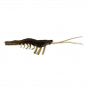 Savage Gear 3D Manic Shrimp 6.6cm  6vnt