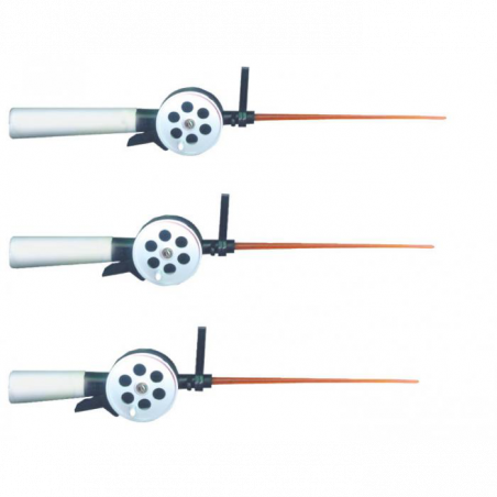 Meškerėlė žieminė Pirs