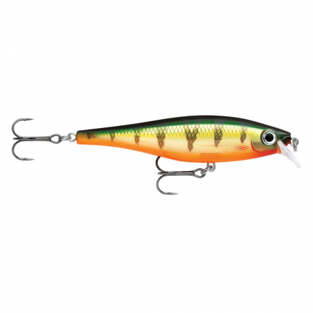 Vobleris Rapala BX Minnow 10cm 12g F