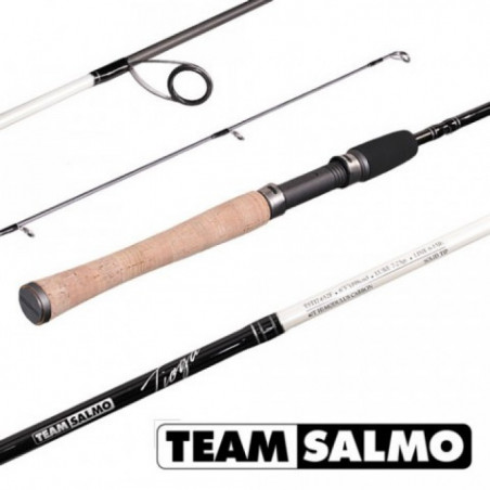 Spiningas Team Salmo Tioga M-Heavy