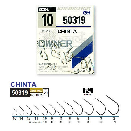 Owner CHINTA