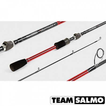 Spiningas Team Salmo Vantage 7' 6-18g