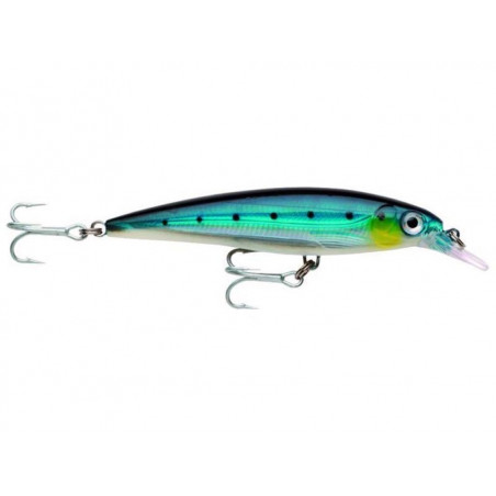 Vobleris Rapala X-Rap Saltwater 10cm 13g SS