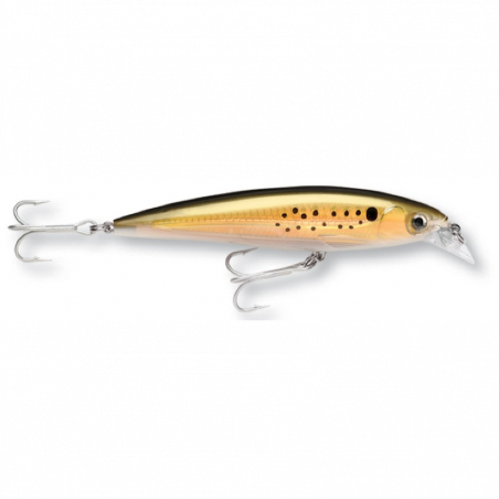 Vobleris Rapala X-Rap Saltwater 12cm 22g SS