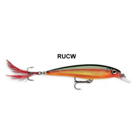 Vobleris Rapala X-Rap 6cm 4g SS