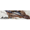 Spiningai Norstream Adept