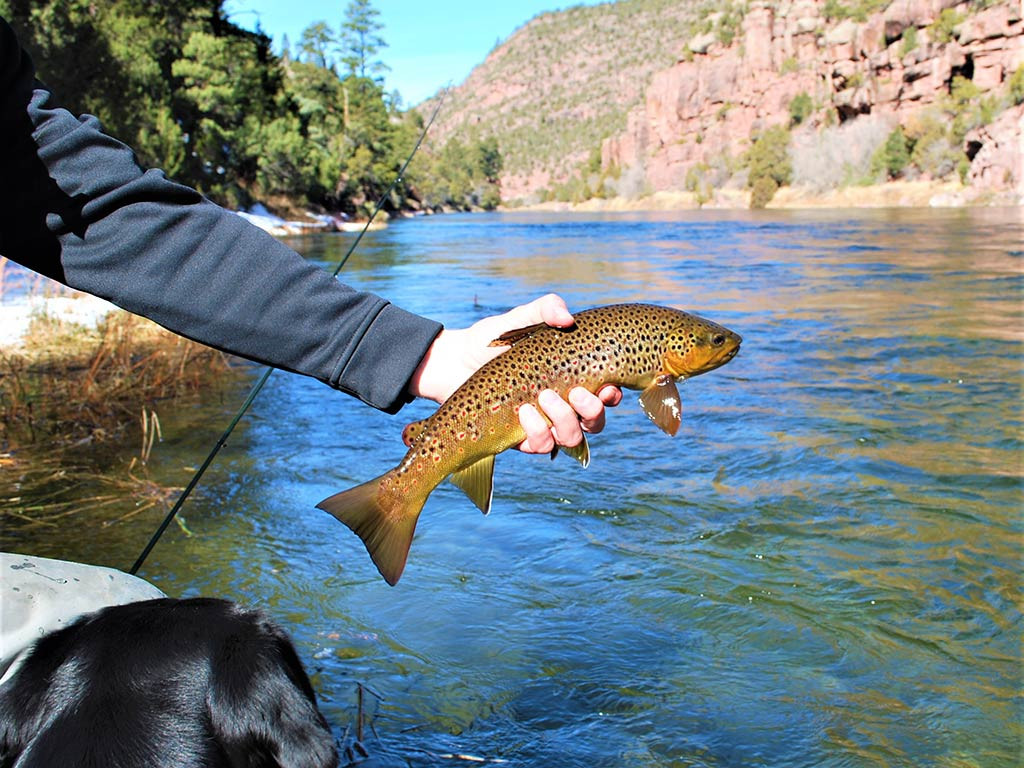 Perkamiausios pavasario ir vasaros prekės.